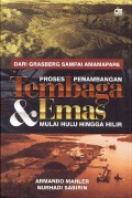 Dari Grasberg Sampai Amamapare - Proses Penambangan Tembaga & Emas Mulai Hulu Hingga Hilir